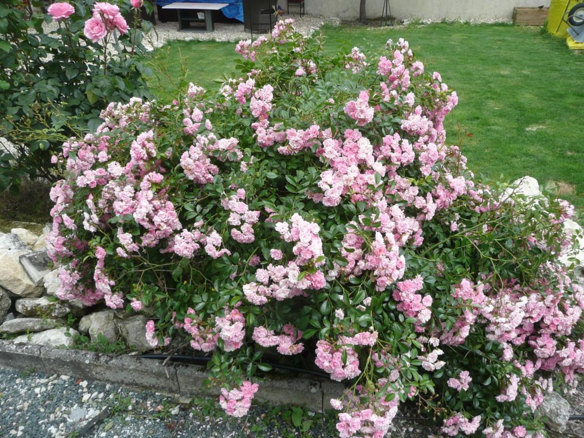 Maison Blanc Bed and Breakfast Gibourne Exterior foto
